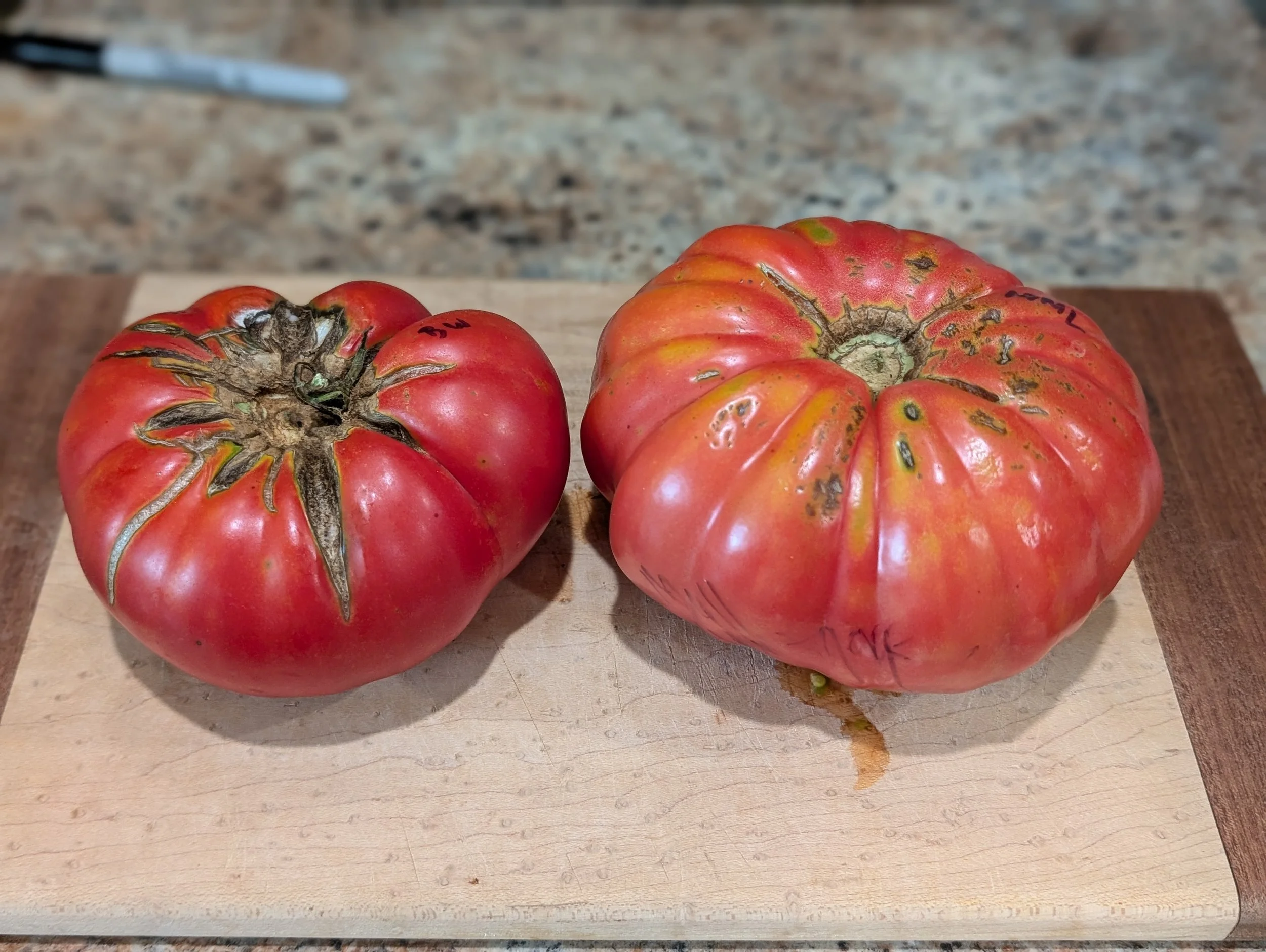 Craig LeHoullier - 2025 Garden Review - Part 2. Tomatoes - Old